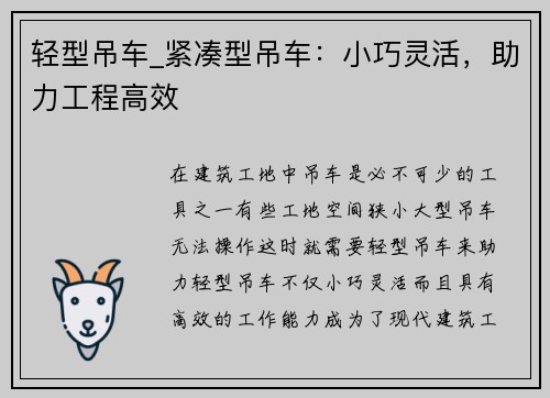 轻型吊车_紧凑型吊车：小巧灵活，助力工程高效